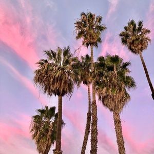 Meet your Posher, Chrissy